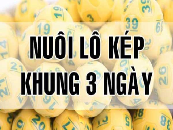 Lô kép khung 3 ngày là gì? Cách nuôi lô kép khung 3 ngày bất bại