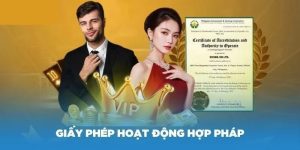 Các giấy phép hoạt động VM88 đang sở hữu hiện nay